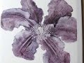 China painting- clematis