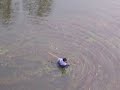 environmental-pollution.html