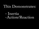 Newtonia ~ The Land of Motion