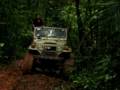 videos de MVI_4853.avi