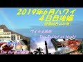 2019年6月ハワイ ４日目後編（帰国前日の午後を楽しむ）