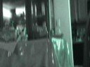 The Blinding Light