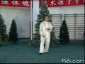 Hunyuan Taijiquan Paochui