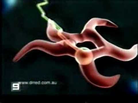 prostate cancer information