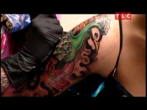 LA Ink- Peacock Tattoo