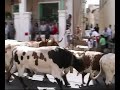 La Talanquera, resumen DVD disco 3