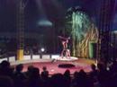 Loritz Circus in Hamilton