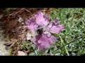 Panasonic FZ50 camera test
