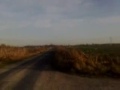 Honda CBR Fabi.wmv