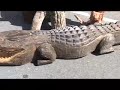 Leesburg Pioneer Festival Part 1