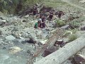 A River through Flona