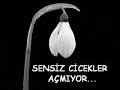 ASKINA-MAHKUM-BARIS-