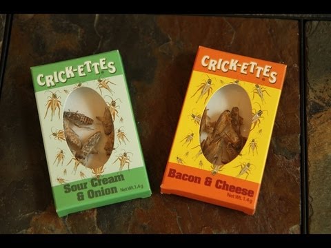 The Cricket Challenge | Brooklyn and Bailey