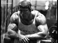 Arnold Schwarzenegger Bodybuilding Tribute Arnold Schwarzenegger Bodybuilding Tribute