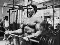 Arnold-Schwarzenegge