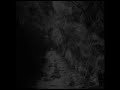 NIX'S EYES - ATMOSFERA III