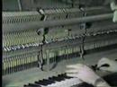 kuroageha-night-melody-pv.html