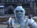 Oblivion Grand Master Fight!