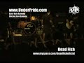 Dead Fish - Rei de Açucar (Hangar110 23/12/2007)