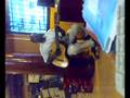 videos de EDDIE PIERRE AT LIVE