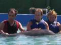 videos de dolphins' dance in may