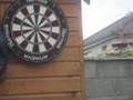 videos de amazing darts