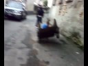 Piciu cade dal carretto