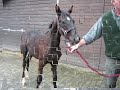 Donni_0001.wmv Donni_0001.wmv