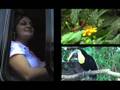 videos de Welcome to a grenner world by Costa Rica Intel Employers