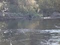 in the fisheries pool