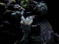 videos de MOV04322.flv