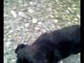 videos de haku!!