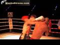 Puchar Europy Muay Thai i K-1 rules, Gala Zawodowa K-1 Kalisz 2008