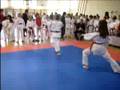 videos de Karate Club 