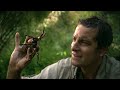Discovery Channel Commercial - Boom De Ah Dah!