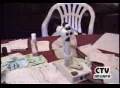 videos de VERONIA CHAR