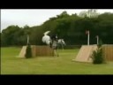 Horses- Hot N Cold