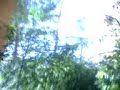 Hospital del torax de Terrassa - Jungla