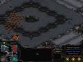 Psionic Storm Ownz