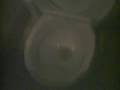 videos de The Glenalta Gurgler