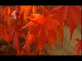 The Colours of Autumn - Gymnopedie No.1 The Colours of Autumn - Gymnopedie No.1