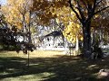 Wind blowing hard in Minnesota as leaves fall in the lake