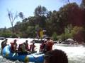 videos de Gold Rush Trip Video Clip