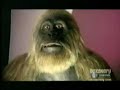 Strange Creatures - Real Bigfoot Evidence - Video, Footprints & Bones of Sasquatch