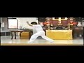 Wang Shu Jin Xingyi (Hsing-i) form