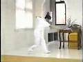 Wang Shu Jin Xingyi (Hsing-i) form