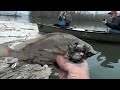 TVA Coal Ash Spill Emory River Tennessee TVA Coal Ash Spill Emory River Tennessee