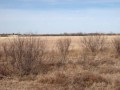 Video for Development Land on Highway 287