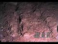 Beavertail wetsuit in deep farm mudpit 4