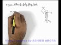 Cross-section-of-a-Freely-Falling-Liquid